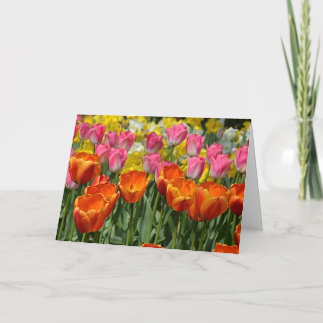 Pink and orange spring tulips greeting card (Front)