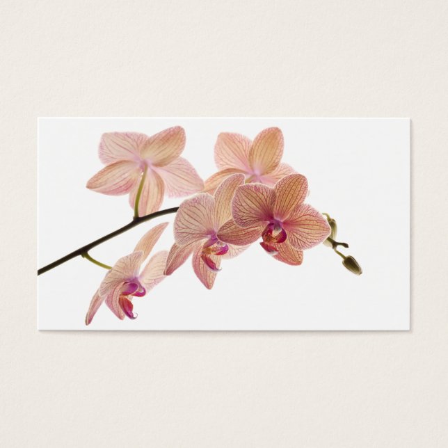 Pink and Peach Dendrobium Orchid - Customised (Front)
