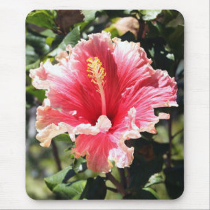 Pink and Peach Hibiscus Photo Mousepad