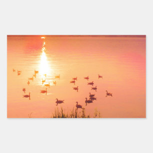 Pink and peach lake sunset rectangular sticker