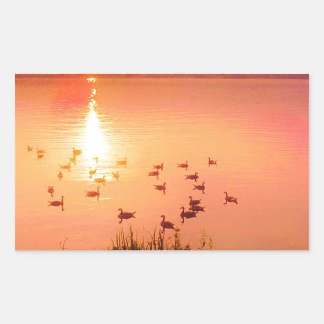Pink and peach lake sunset rectangular sticker (Front)