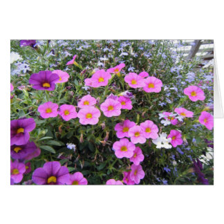 "Pink and Purple"