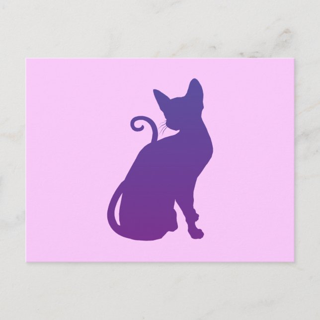 Pink and Purple Cat Postcard (Front)