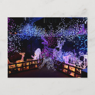 Pink And Purple Christmas Decorations Outdoors Holiday Postcard