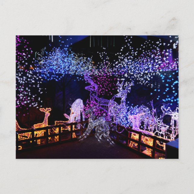 Pink And Purple Christmas Decorations Outdoors Holiday Postcard (Front)