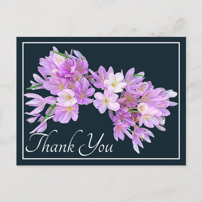 Pink and Purple Crocuses Grey Backdrop Thank You Postcard (Front)
