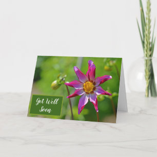 Pink and Purple Dahlia Flower Get Well Soon Card