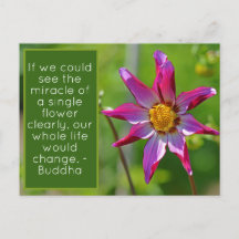 Pink and Purple Dahlia Flower Inspirational Postca