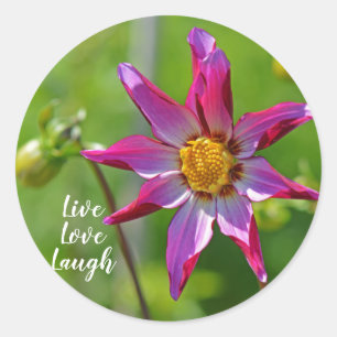 Pink and Purple Dahlia Flower Motivational Classic Round Sticker