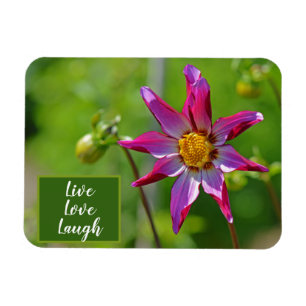 Pink and Purple Dahlia Flower Motivational Magnet