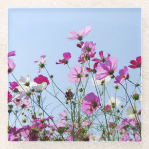 Pink and Purple Flower Meadow Photo Glass Coaster