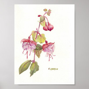 Pink and purple fuschia watercolor poster