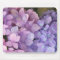 Pink and Purple Hydrangea Mousepad