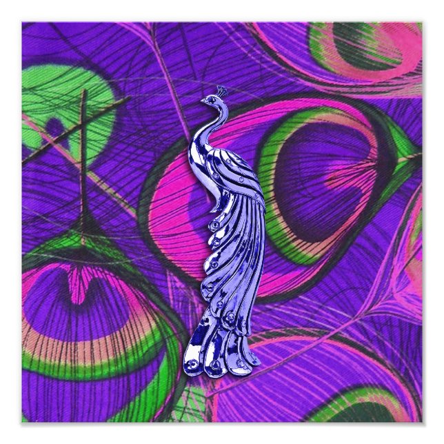 Pink and Purple Peacock Photo Print (Front)