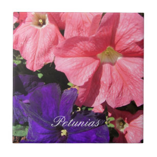 Pink and Purple Petunias Tile