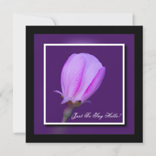Pink and Purple Spring Blossom Hello Card