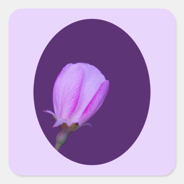 Pink and Purple Spring Blossom Square Sticker (Front)
