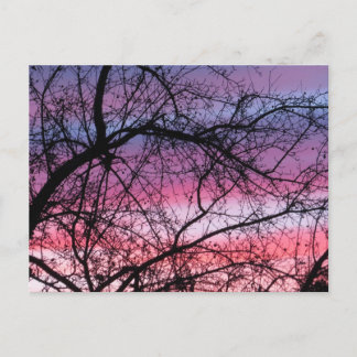Pink And Purple Sunset Postcard