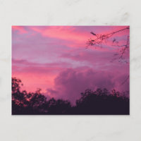 Pink and Purple Sunset Sunrise Sky Skies Photo