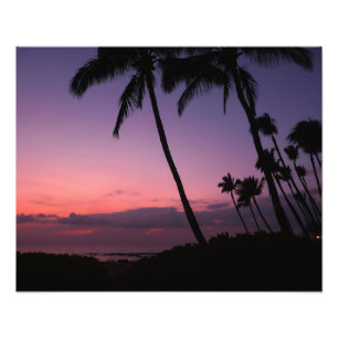 Pink and purple tropical sunset photo print