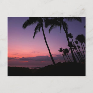 Pink and purple tropical sunset postcard