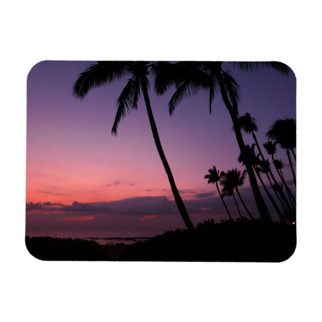 Pink and purple tropical sunset rectangle magnet (Horizontal)
