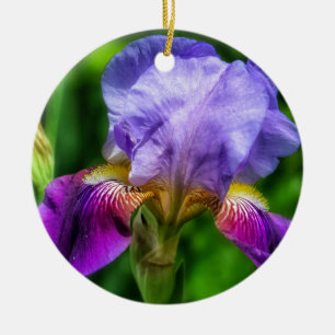 Pink and Purple Yellow Iris Flower Ceramic Tree Decoration