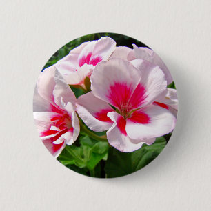 Pink and Red Geranium Floral 6 Cm Round Badge