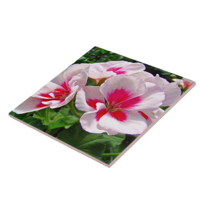 Pink and Red Geranium Floral Tile (Side)