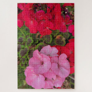 Pink and Red Geranium Jigsaw Puzzle