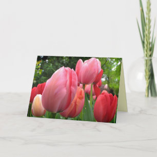 Pink and Red Spring Tulip Flowers Birthday Card