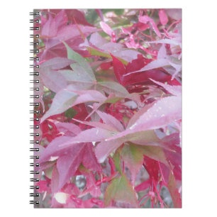 Pink And Sage Fall Leaves Notebook