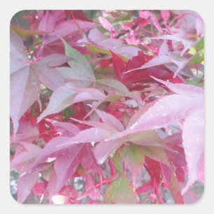 Pink And Sage Fall Leaves Square Sticker