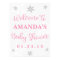 Pink and Silver Snowflake Baby Shower Welcome Sign
