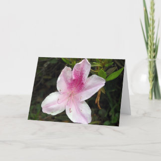 Pink and White Azalea "Just Because" Card