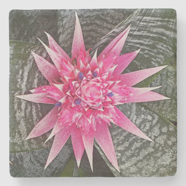 PINK AND WHITE BROMELIAD STAR-SHAPED STONE COASTER (Front)