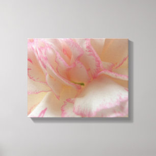 Pink and White Carnation Canvas Print