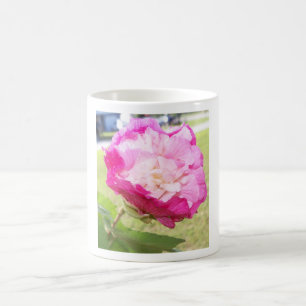 pink and white changeable hibiscus bloom coffee mug