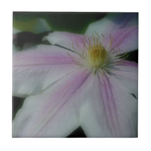 Pink And White Clematis Flower Nature Tile
