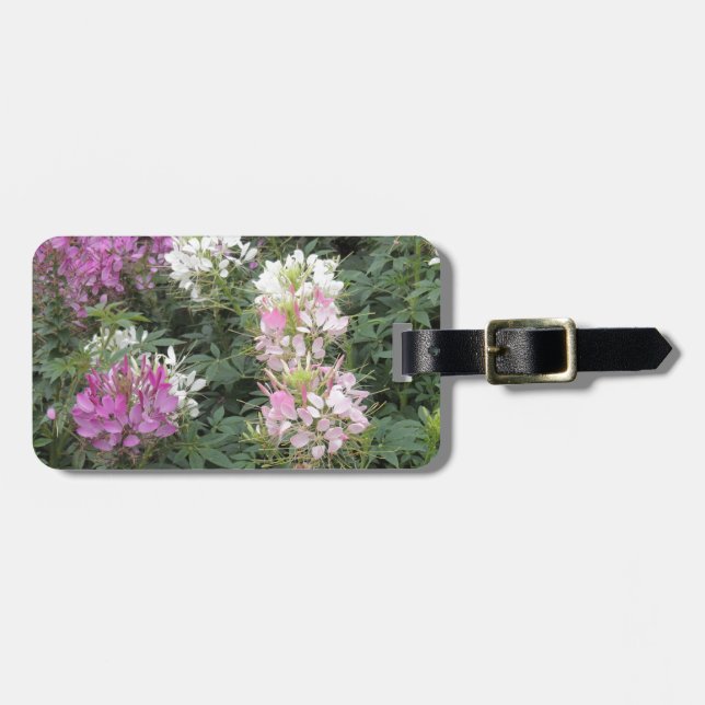 Pink and White Cleome Blooms Luggage Tag (Front Horizontal)