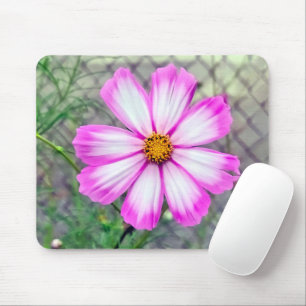 Pink and White Cosmos Flower Mouse Mat