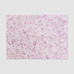 Pink and White Cowhide Country Western Tissue Paper