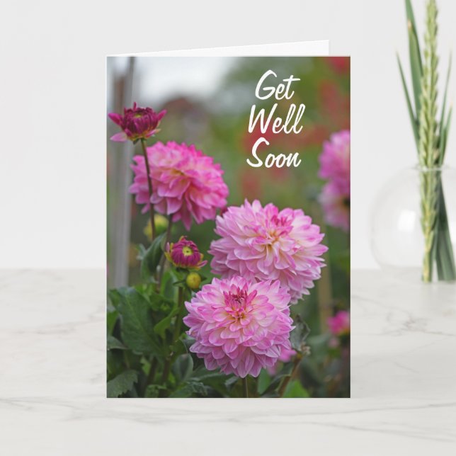 Pink and White Dahlia Flower Get Well Soon Thank You Card (Front)