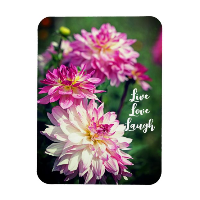 Pink and White Dahlia flower Motivational Magnet (Vertical)