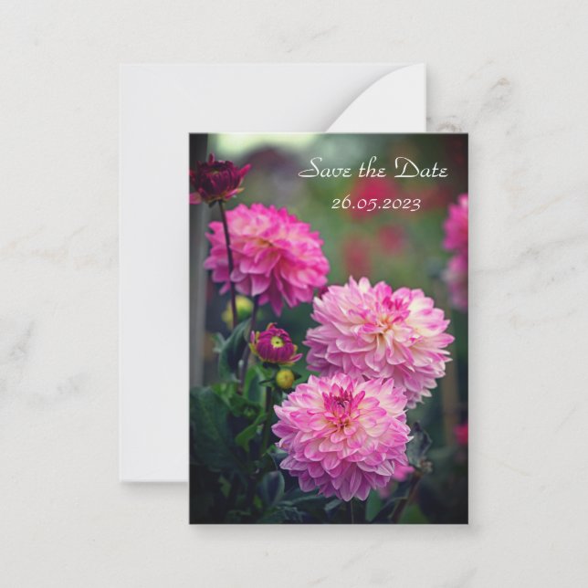 Pink and White Dahlia Flower Save the Date Card (Front)