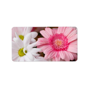 Pink and White Daisies Label