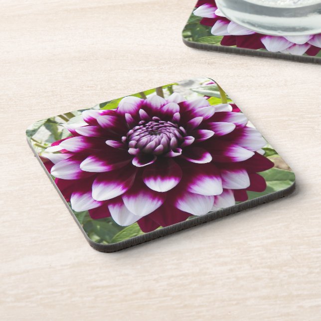 Pink and White Decorative Dahlia Floral Coaster (Left Side)
