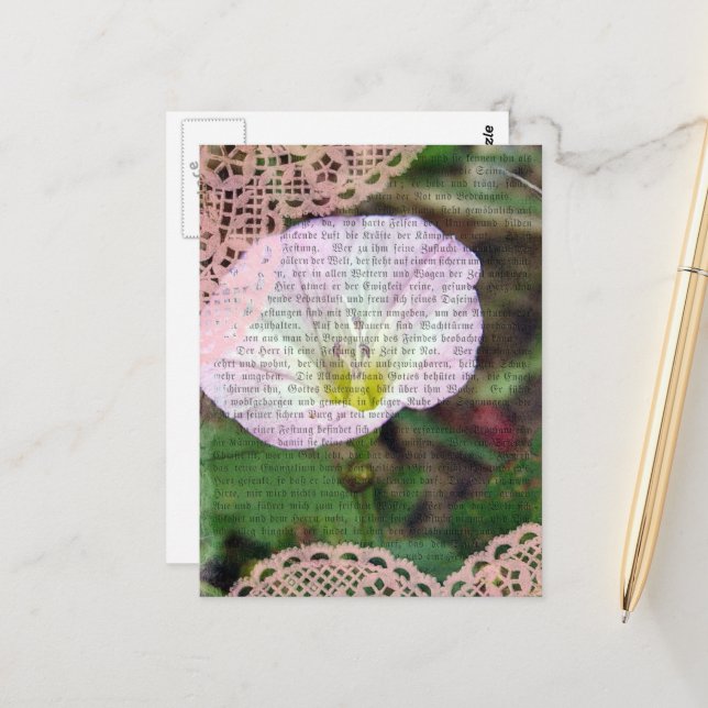 Pink and White Field BindWeed Postcard (Front/Back In Situ)