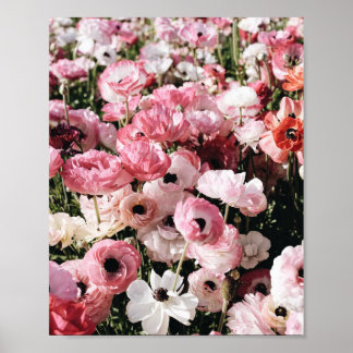 Pink and White Flower poster print