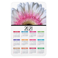 Pink and White Gerbera Daisy | 2021 Calendar